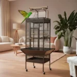 כלולב לתוכי A10 המקורי- חיות אונליין