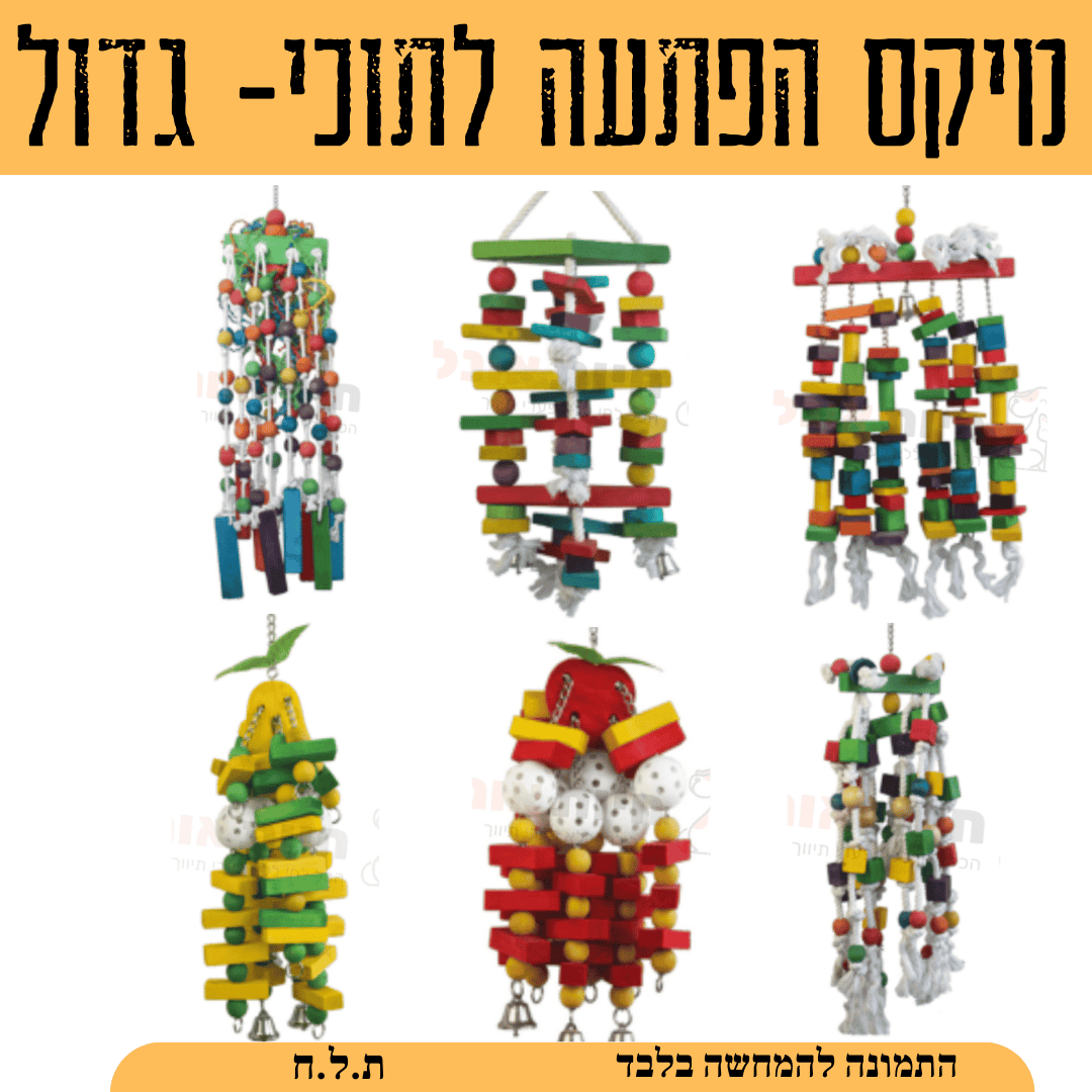 משחקים לתוכים- מיקס הפתעה גדול