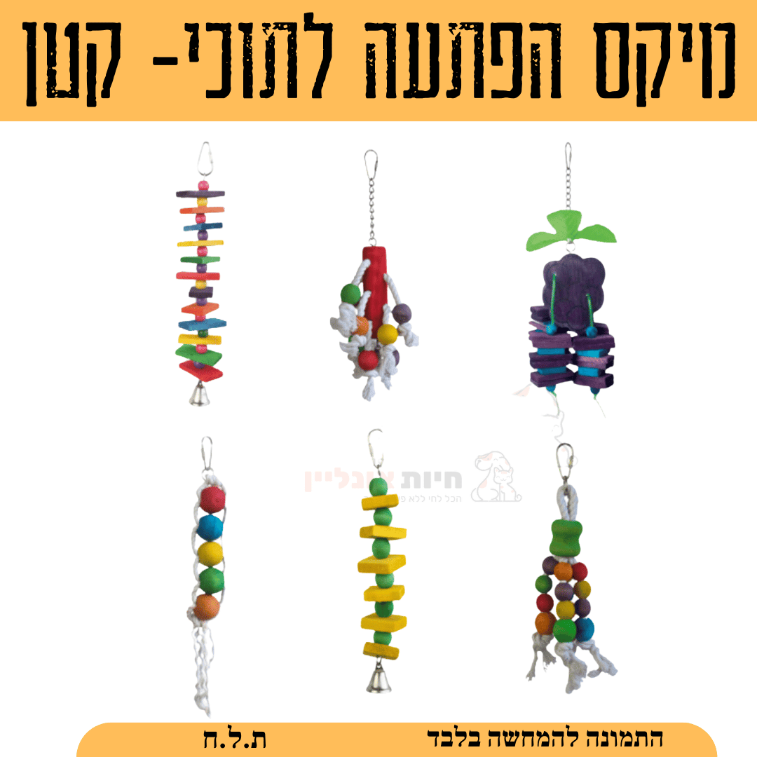 משחקים תוכים- מיקס הפתעה קטן