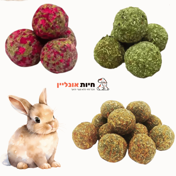 כדורי בריאות למכרסמים