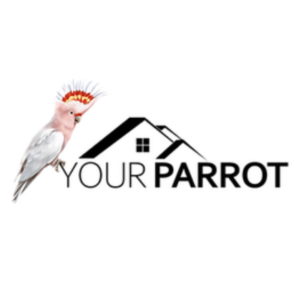 YOUR PARRT-יור פארוט