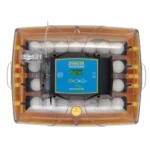 מדגרה אוטומטית ברינסי