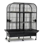 כלוב ענק לתוכי A52- למשוגעים בלבד