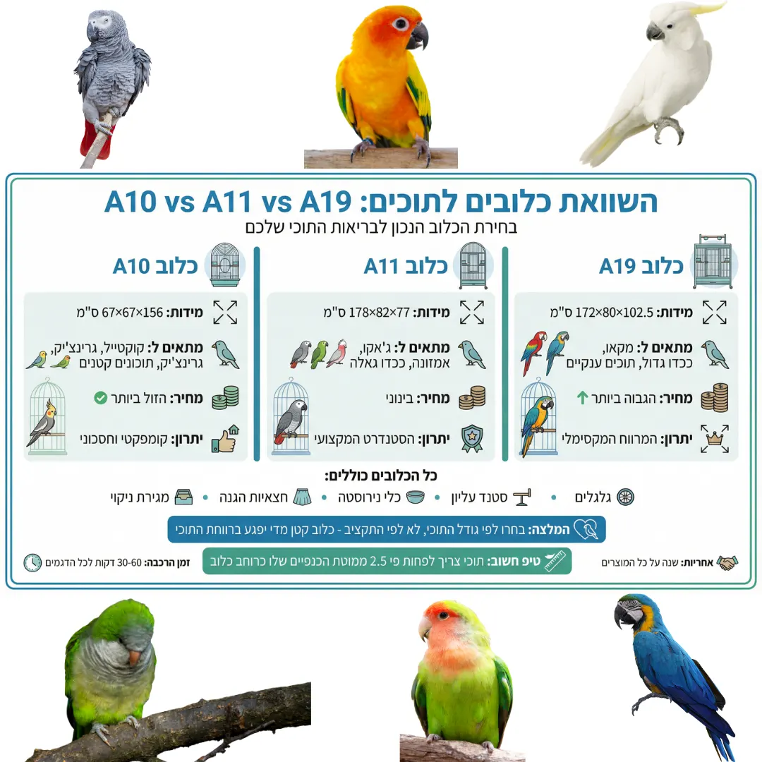 השוואה מקיפה על כלוב לתוכי A19 מול A11 מול A10