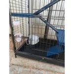 ⁦כלוב לצ’ינצ’ילה- בינוני D800- יד שניה- אין משלוחים⁩ – תמונה ⁦4⁩