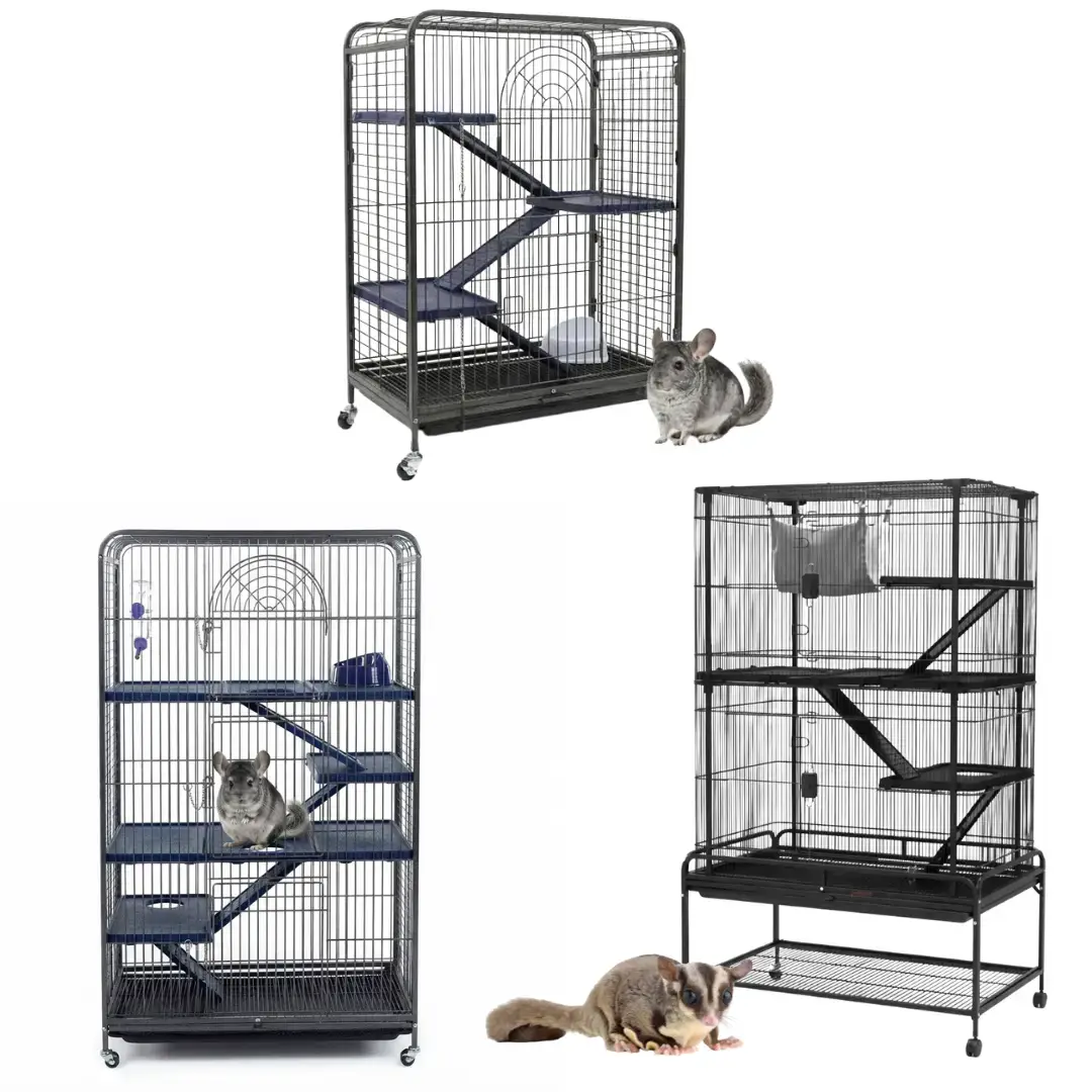 chinchilla-vs-sugar-glider-cage-guide